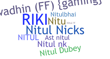 Ник - Nitul