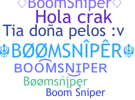 Ник - BoomSniper