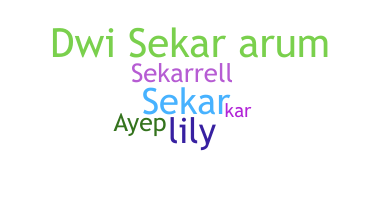Ник - Sekar