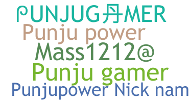 Ник - PUNJUGAMER