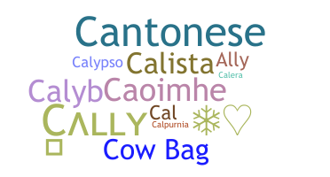 Ник - Cally