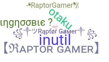 Ник - Raptorgamer