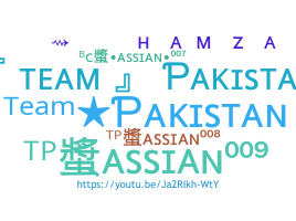 Ник - TeamPakistan