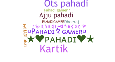 Ник - Pahadigamer