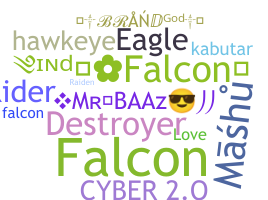 Ник - Falcons