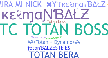 Ник - Totan