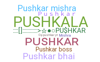Ник - Pushkar